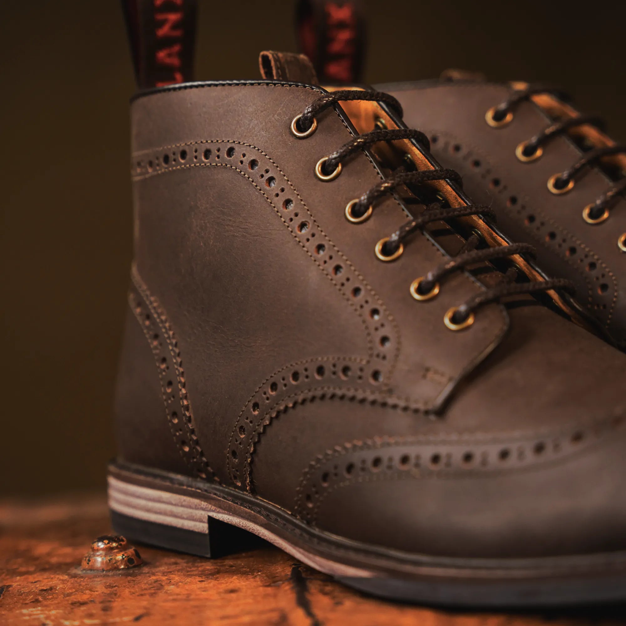 BAYLEY // BROWN DISTRESSED